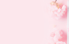 2 beauté (1407x248px)